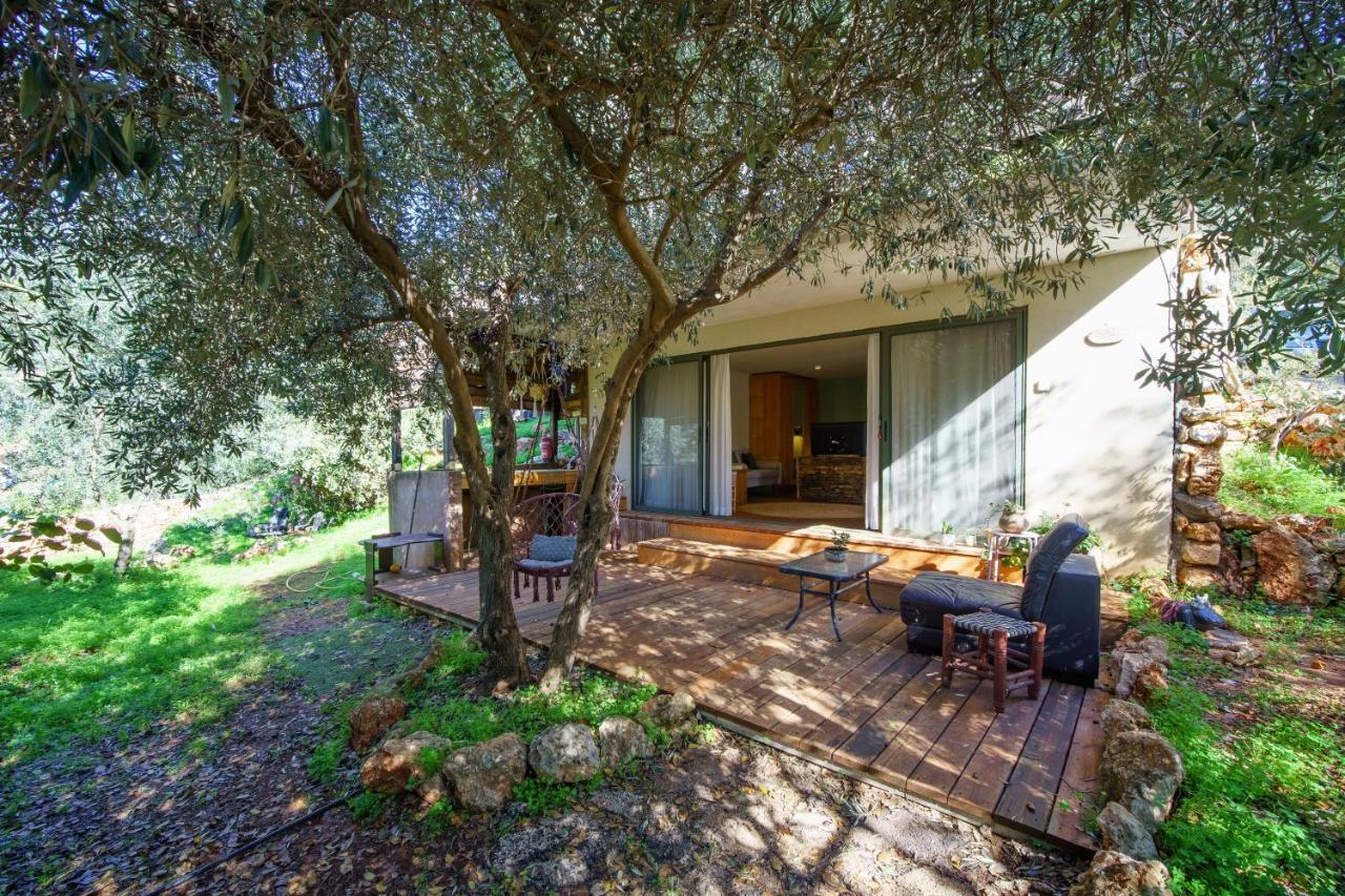 Roof Of The Galilee Villa Amirim Exterior foto