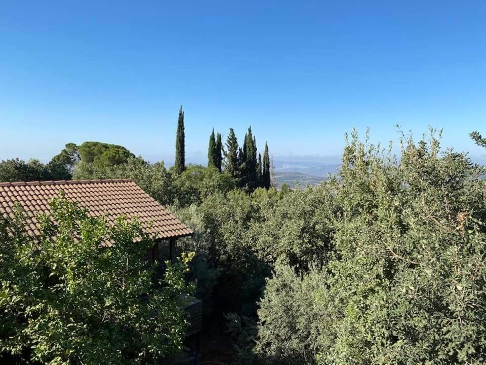 Roof Of The Galilee Villa Amirim Exterior foto